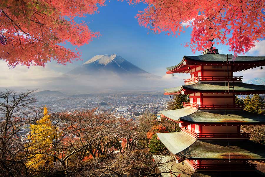 Old Japanese building with Mt Fuji in the background framed with cherry blossoms in full bloom