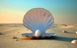 file-c-users-andrewl-desktop-shell-goldandgree Shell with a pearl